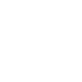 MentorCruise Logo White